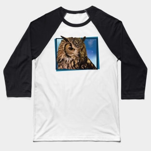 Royal Owl Baseball T-Shirt